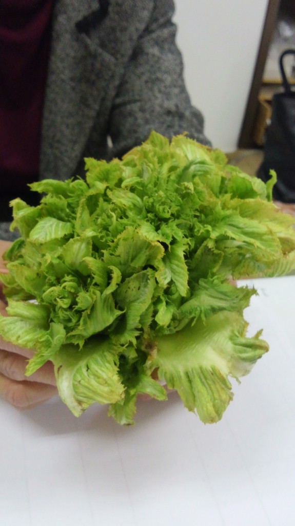 お客様から頂き物の野菜