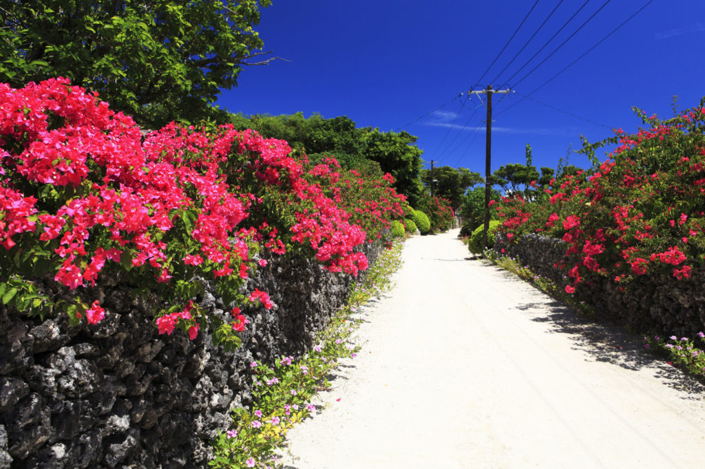 沖縄イメージ画像