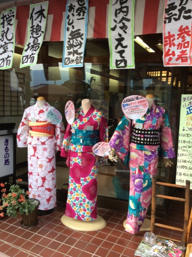 山本呉服店 揖斐川ワンダーピクニック 浴衣